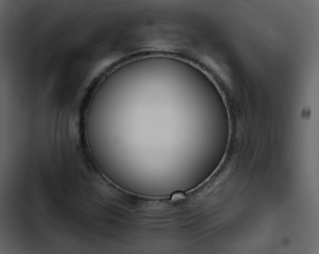 X0000102821307200809021241