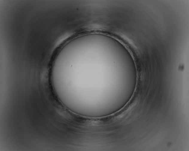 X0000102821309200809021241