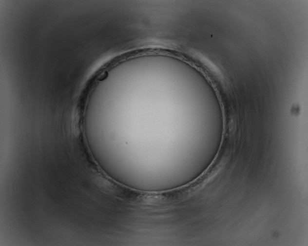 X0000102821310200809021241