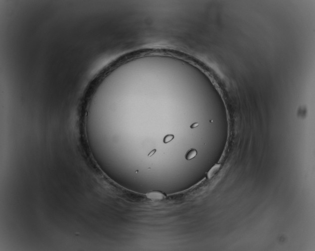 X0000102821311200809021241