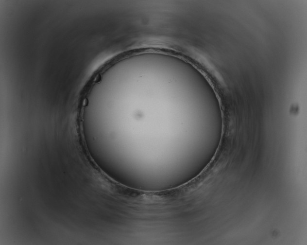 X0000102821312200809021241
