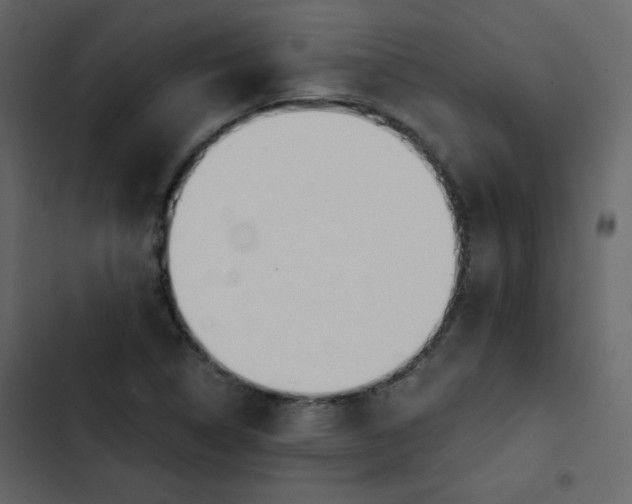 X0000102821314200809021241