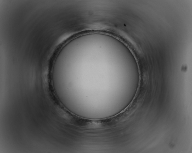 X0000102821315200809021241