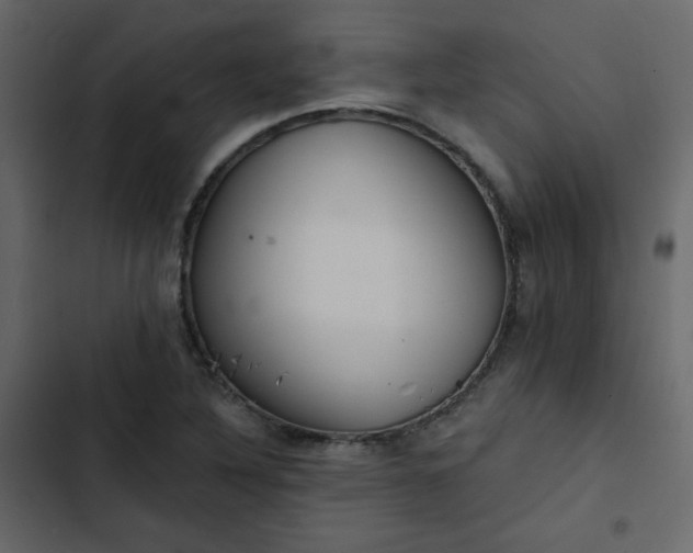 X0000102821316200809021241