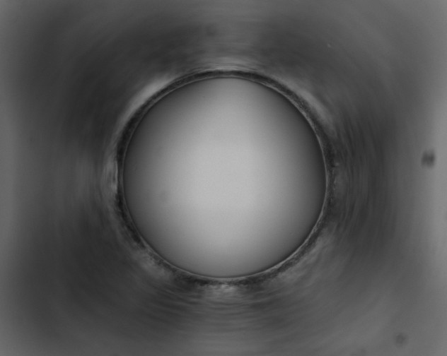 X0000102821317200809021241