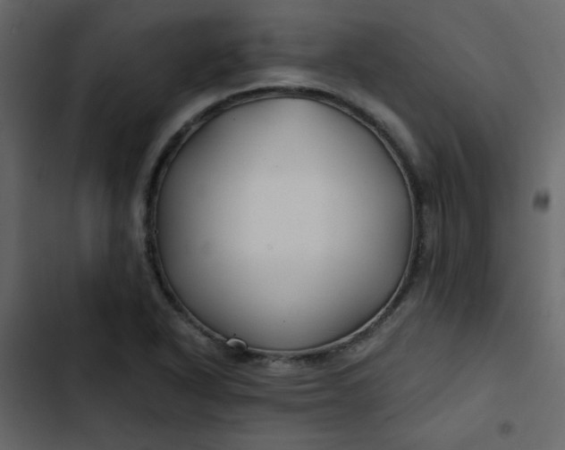 X0000102821318200809021241