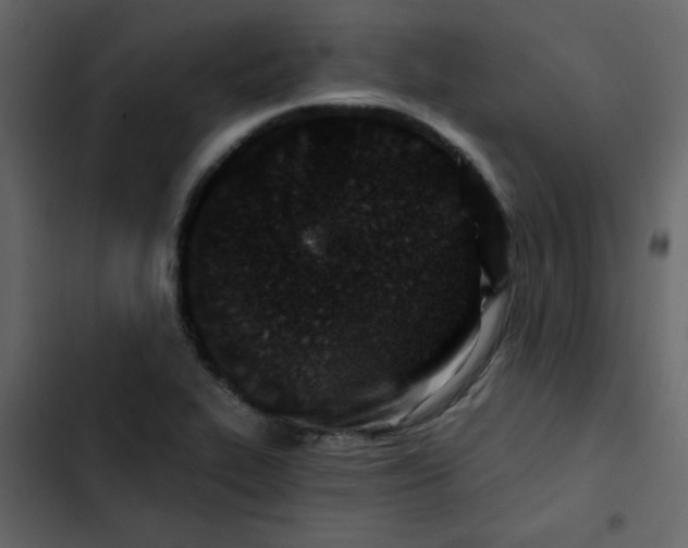 X0000102821319200809021241