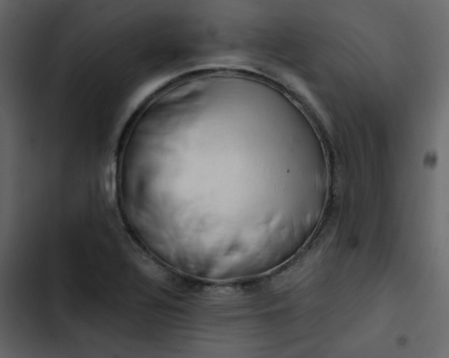 X0000102821320200809021241