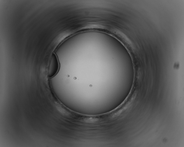 X0000102821321200809021241