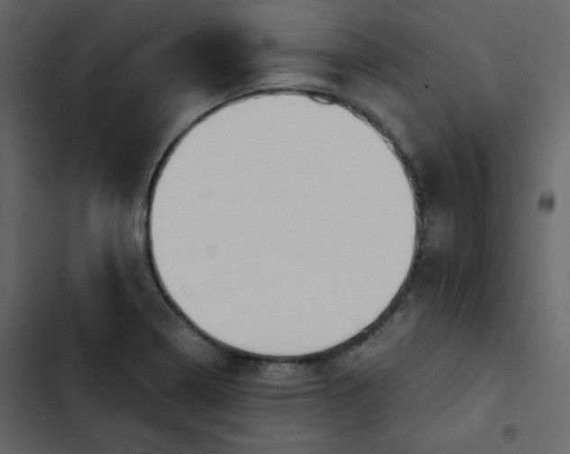 X0000102821322200809021241