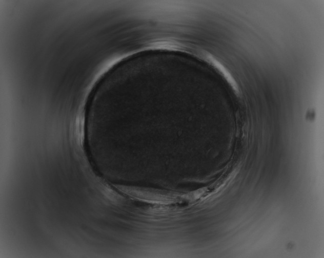 X0000102821323200809021241