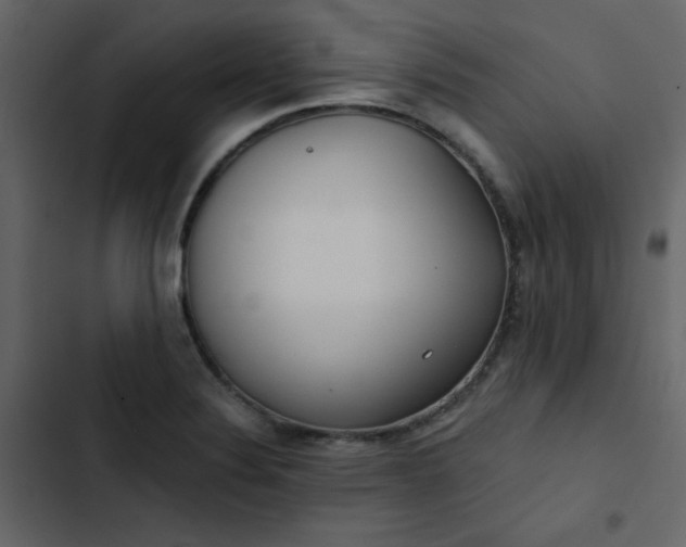 X0000102821324200809021241