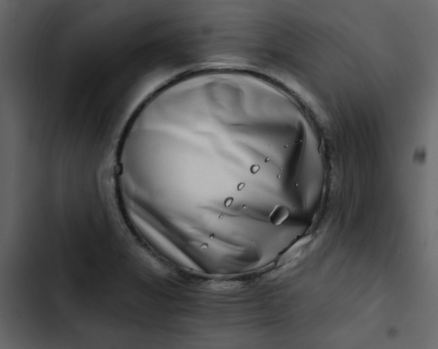 X0000102821325200809021241