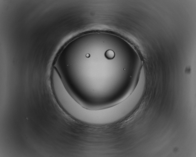 X0000102821326200809021241