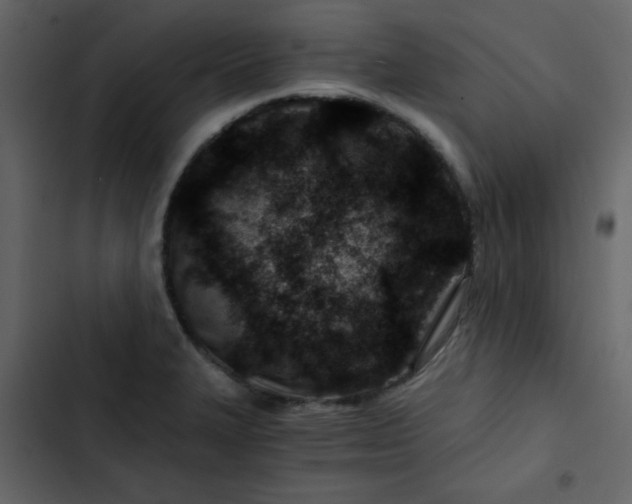 X0000102821327200809021241