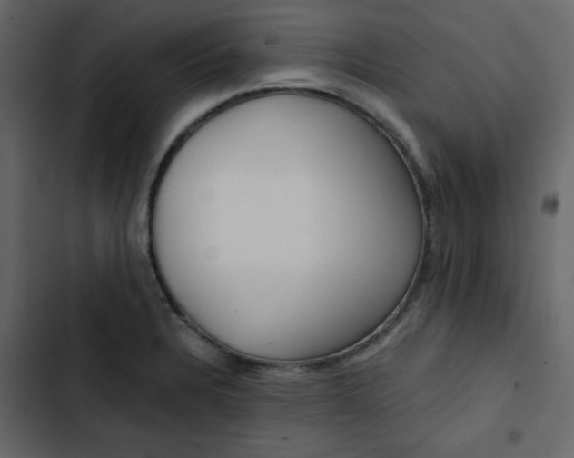 X0000102821328200809021241