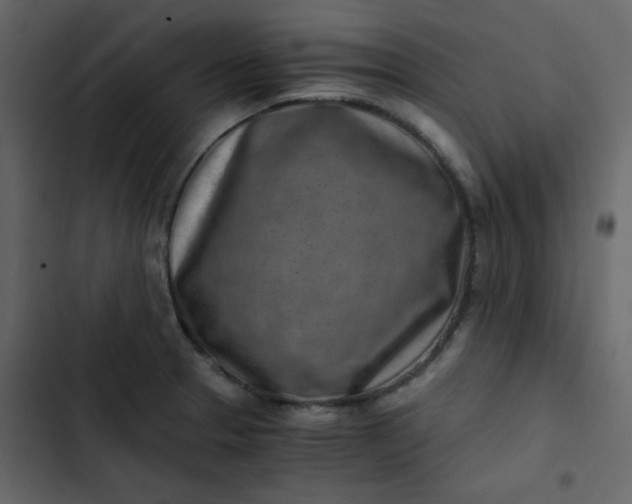 X0000102821329200809021241