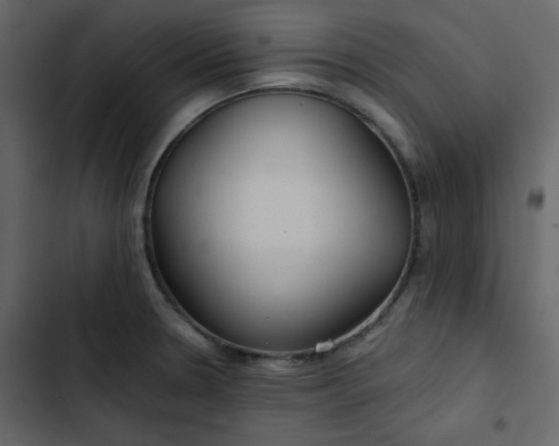 X0000102821330200809021241