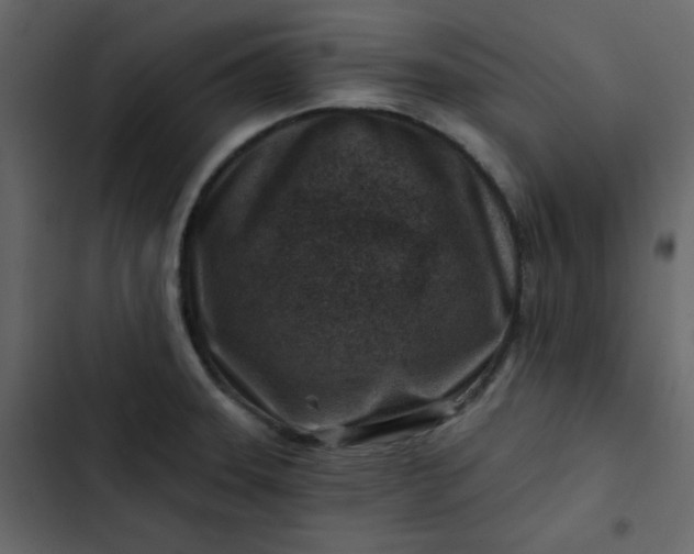 X0000102821331200809021241