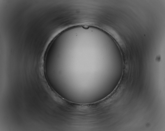 X0000102821332200809021241