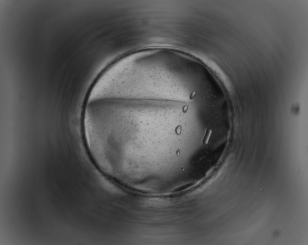 X0000102821333200809021241