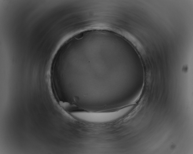 X0000102821334200809021241