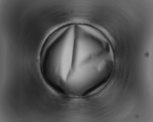 X0000102821335200809021241