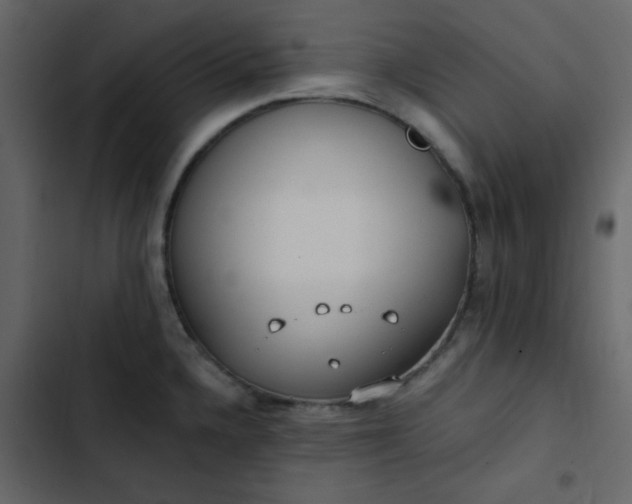 X0000102821336200809021241