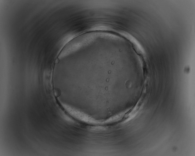 X0000102821337200809021241