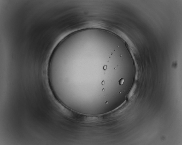 X0000102821339200809021242
