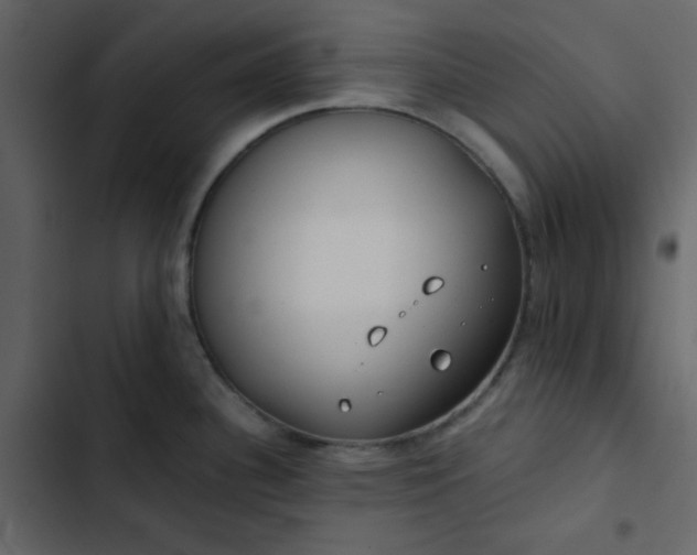 X0000102821340200809021242