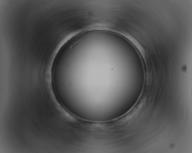 X0000102821341200809021242