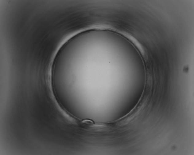 X0000102821343200809021242