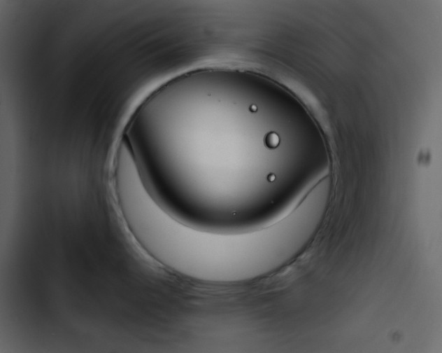 X0000102821344200809021242
