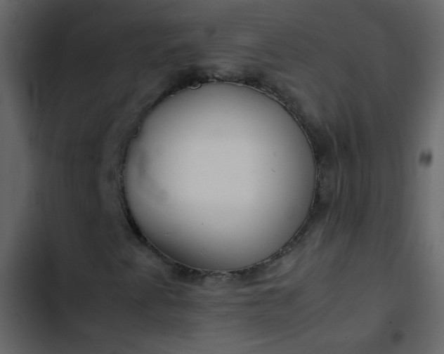 X0000102821345200809021241