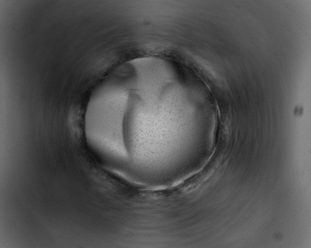 X0000102821346200809021241