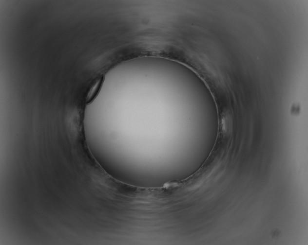 X0000102821347200809021241