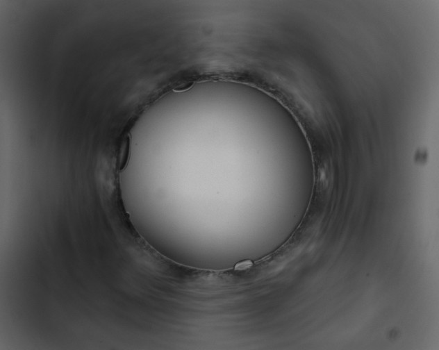 X0000102821348200809021241