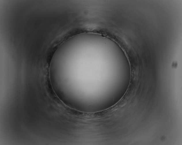 X0000102821349200809021241
