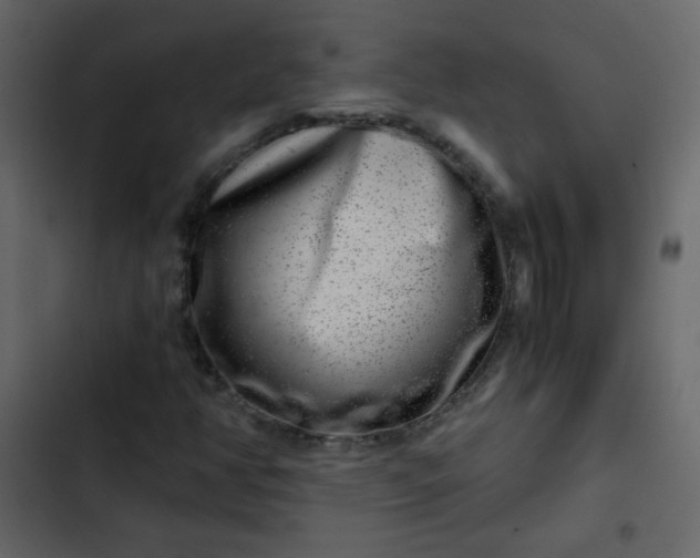 X0000102821350200809021241