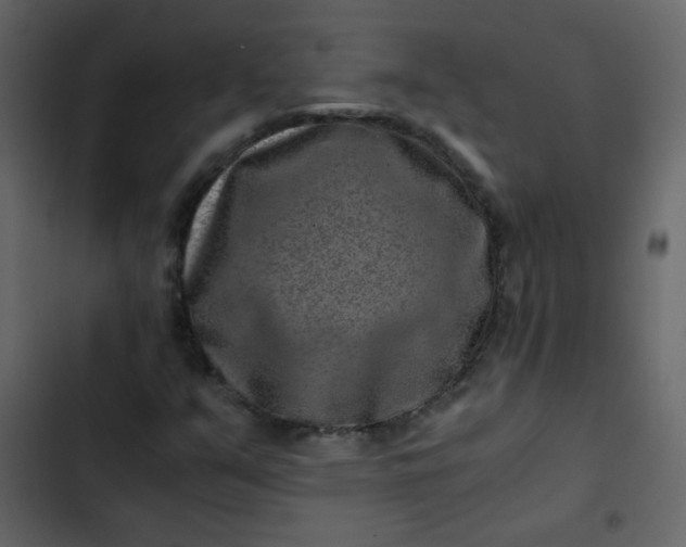 X0000102821351200809021241