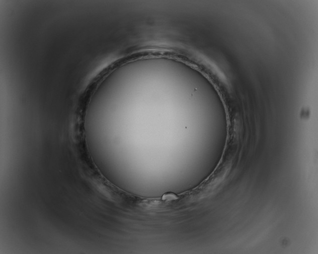 X0000102821352200809021241