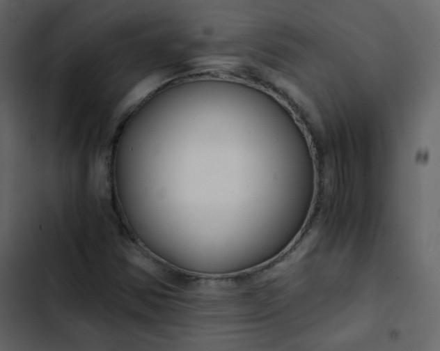 X0000102821354200809021241