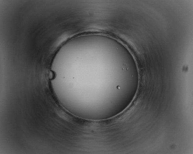 X0000102821355200809021241