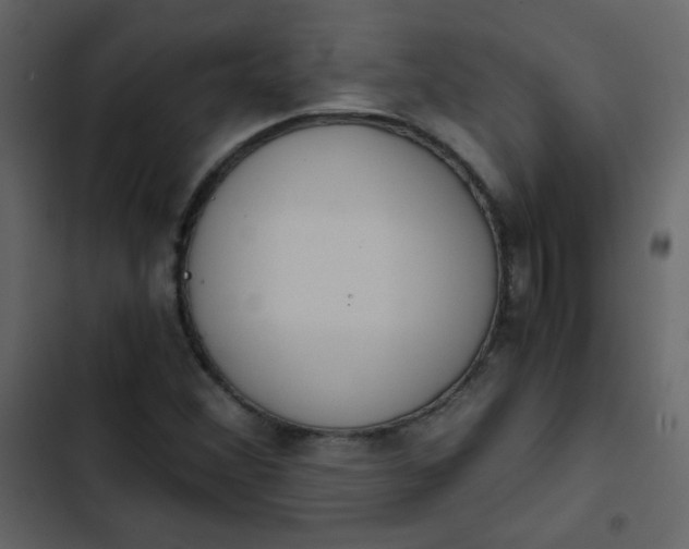 X0000102821356200809021241