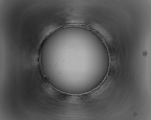 X0000102821357200809021241