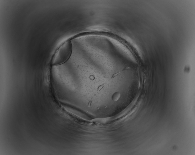 X0000102821358200809021241