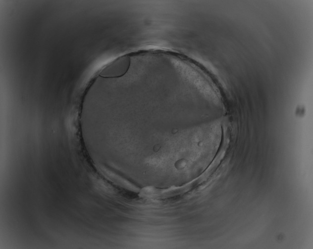 X0000102821359200809021241
