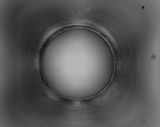 X0000102821360200809021241