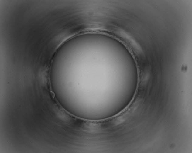 X0000102821361200809021241